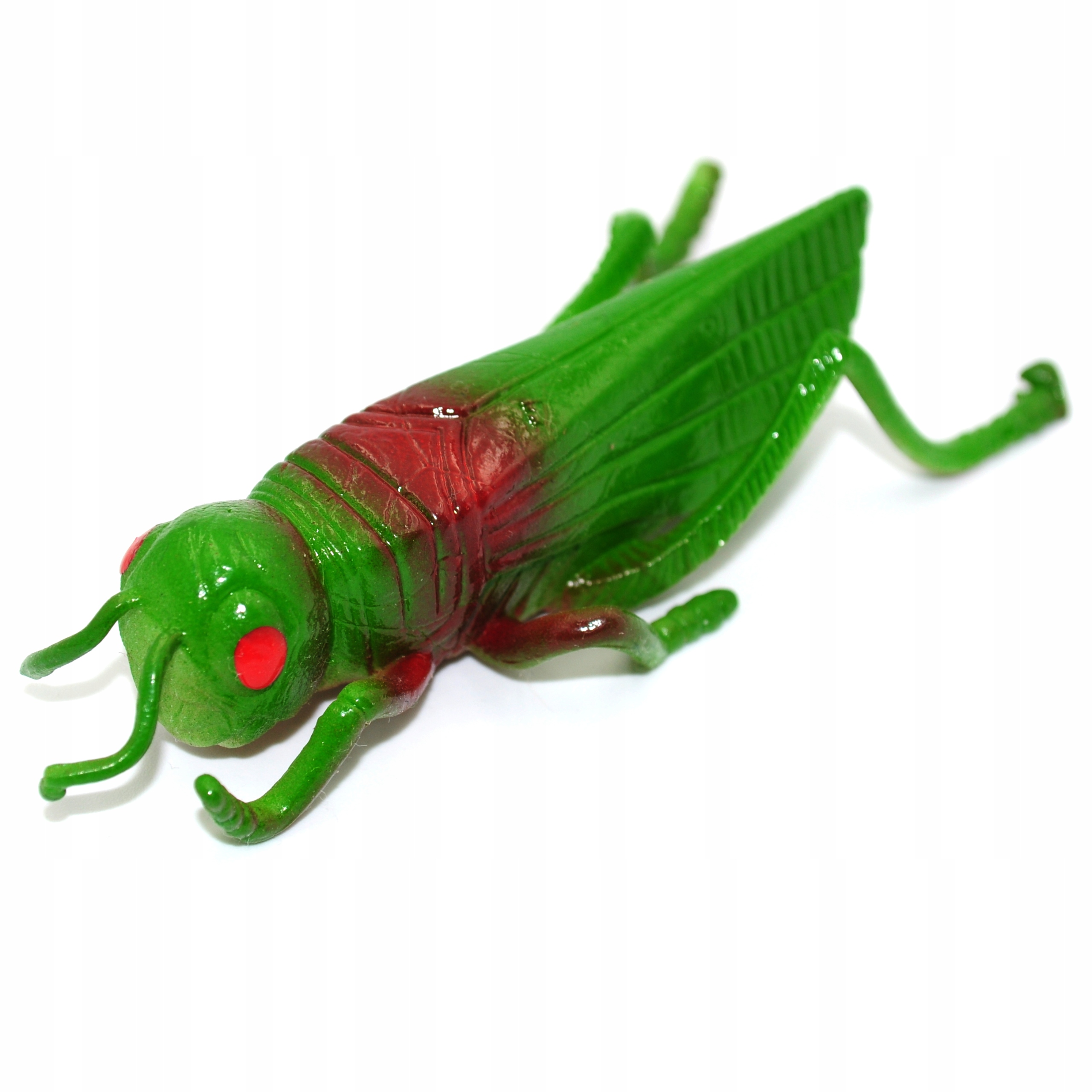 

Gumowy Realistyczny Konik Polny rozciągliwy prank