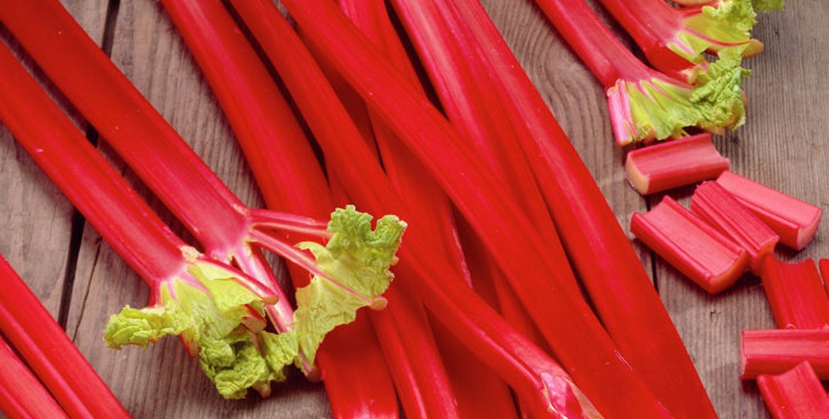 Desso Red MEN EDP 100 ml PERFUMY JFenzi Marka JFenzi