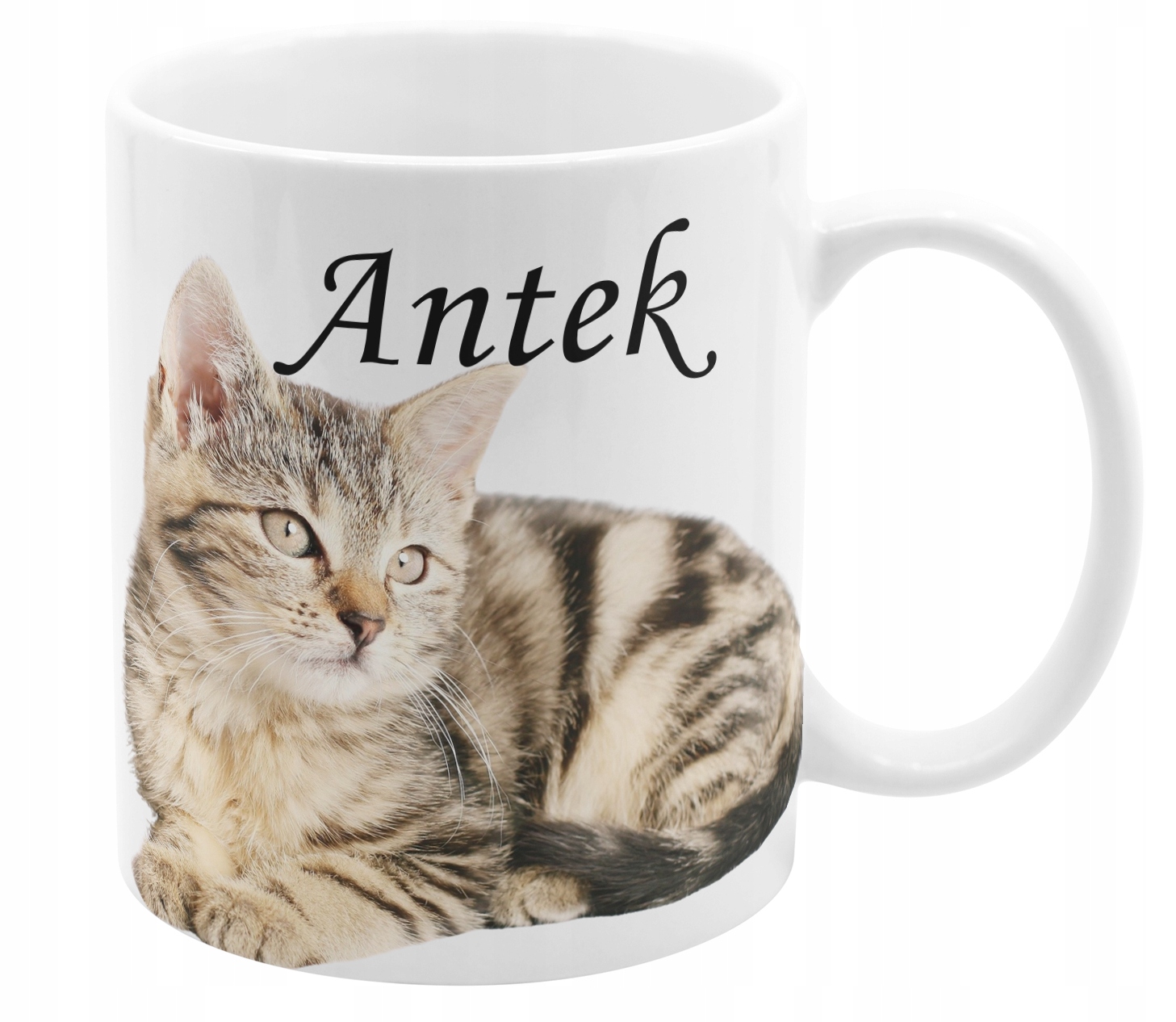 

Kubek Kot Kotki Koty Imię Tekst Kartonik