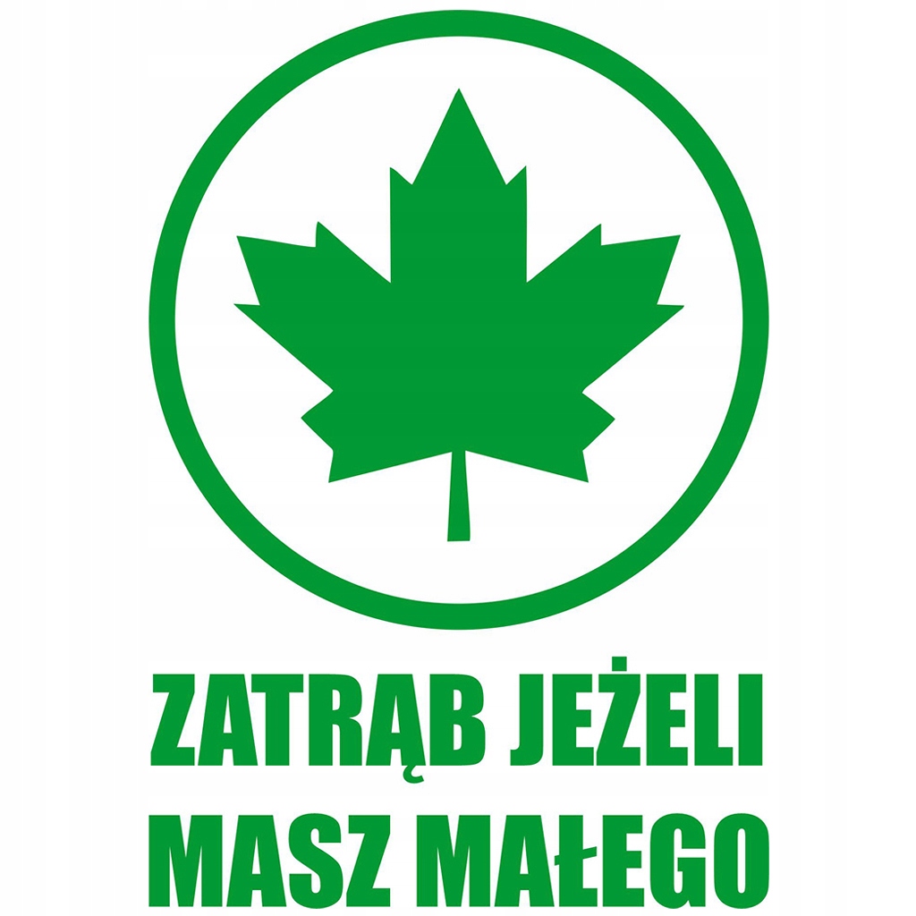 Naklejka zielony Listek Liść Klonu młody kierowca zatrąb jeżeli masz małego