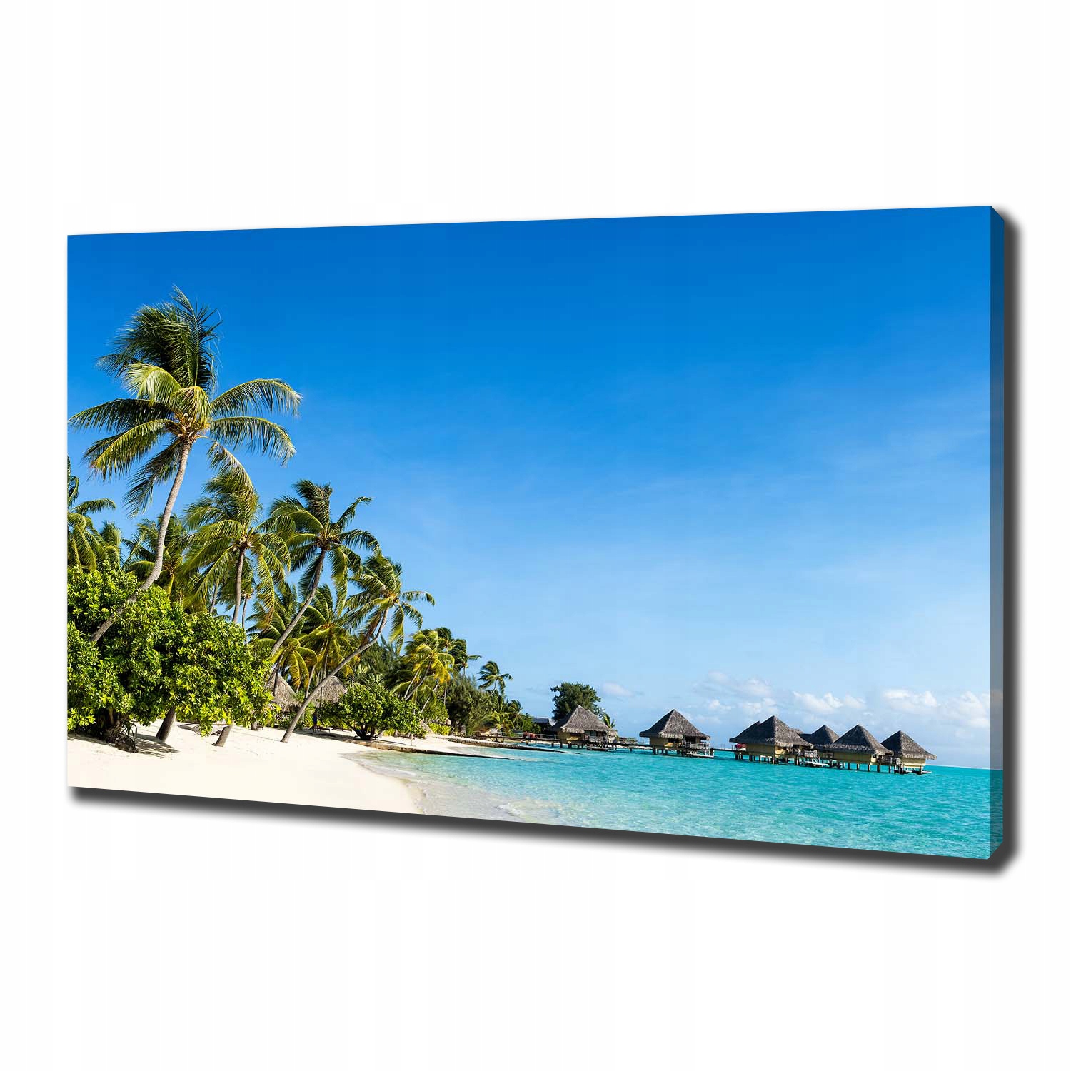 

Foto obraz na płótnie Plaża na Karaibach 100x70 cm