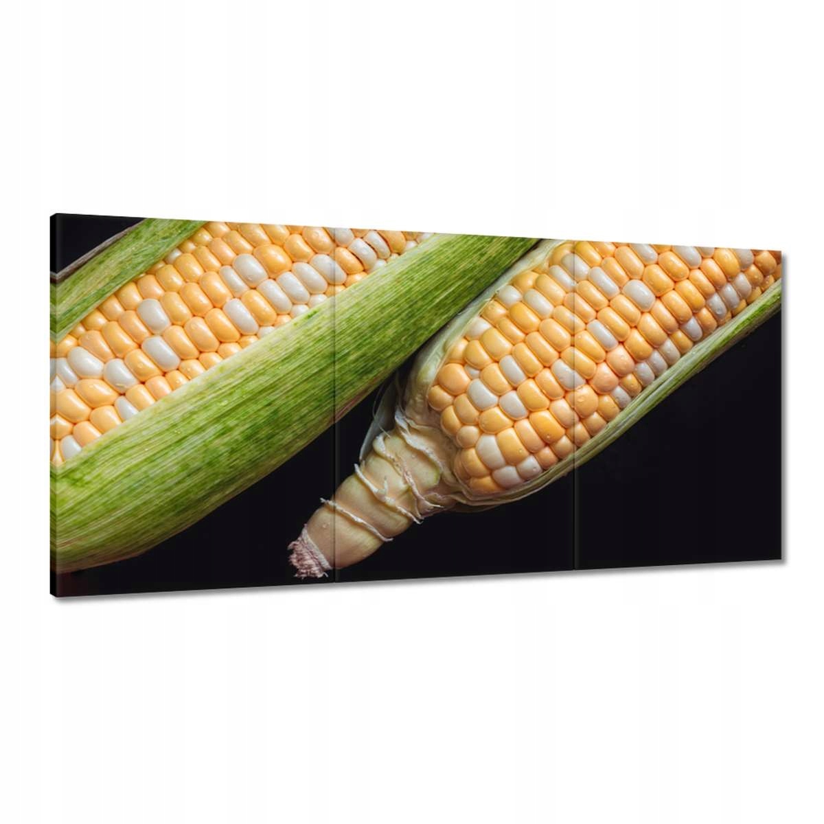 Obrazy 180x90 Dve kukuričné pažby