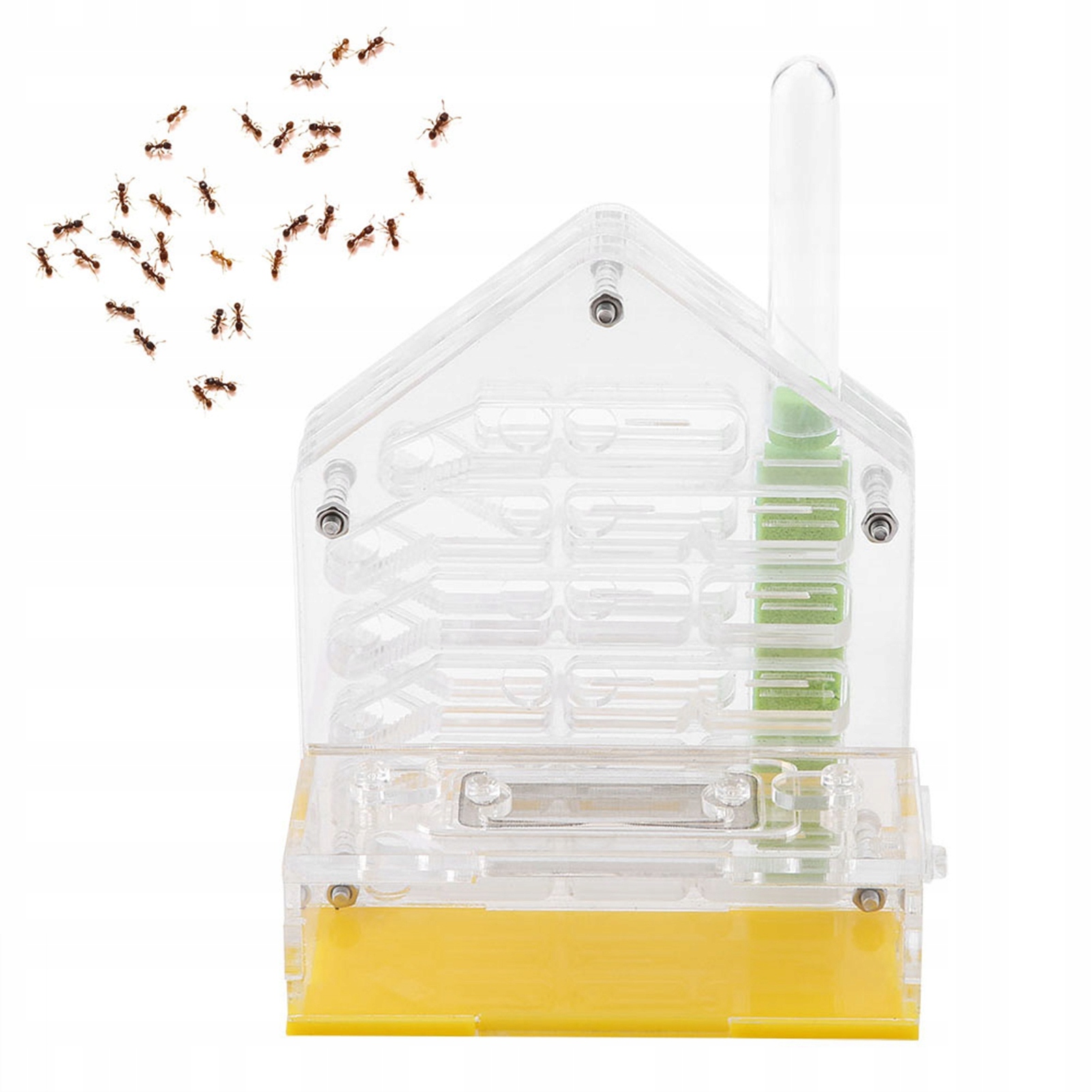 Akrylové Formarium Chov Mravenců Země Mravenců