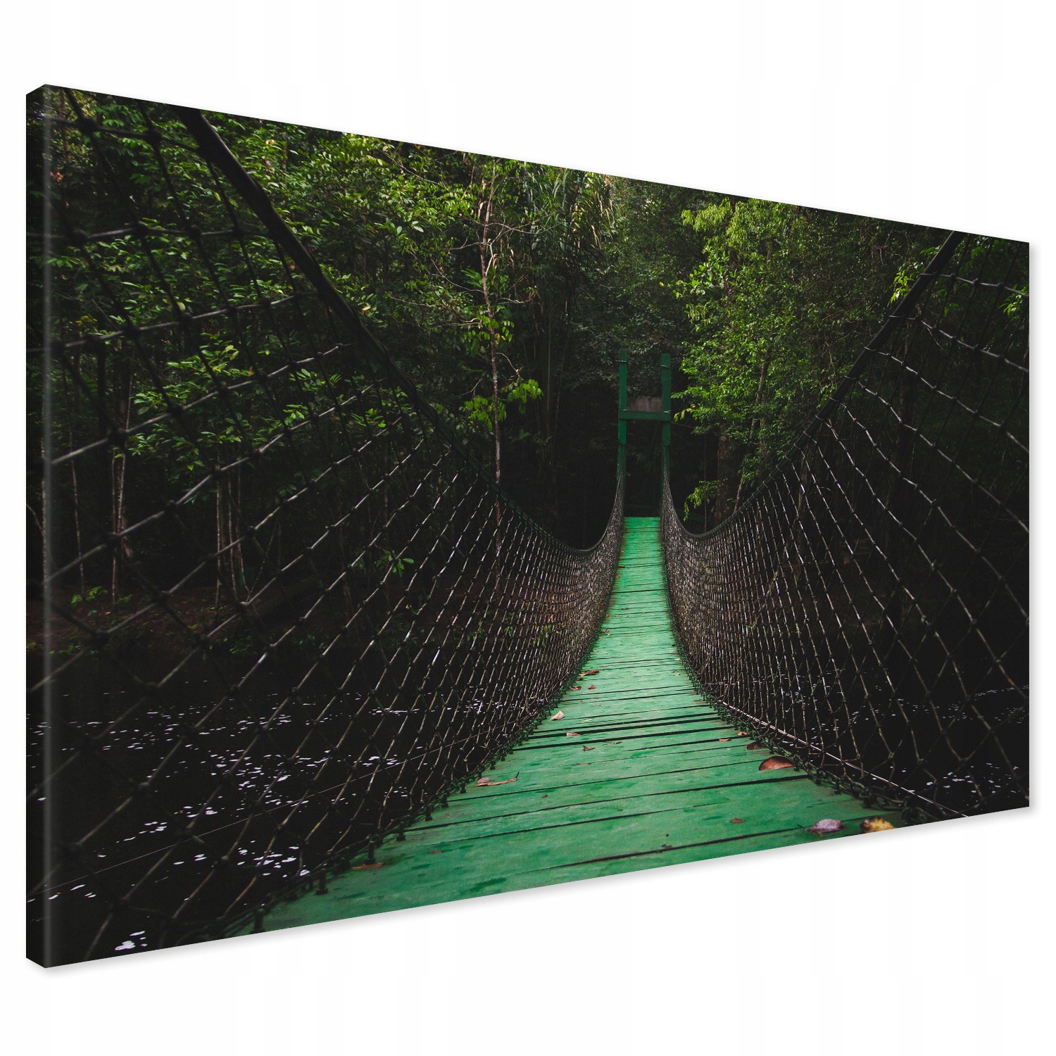 

Obraz na płótnie most linowy las 120x80