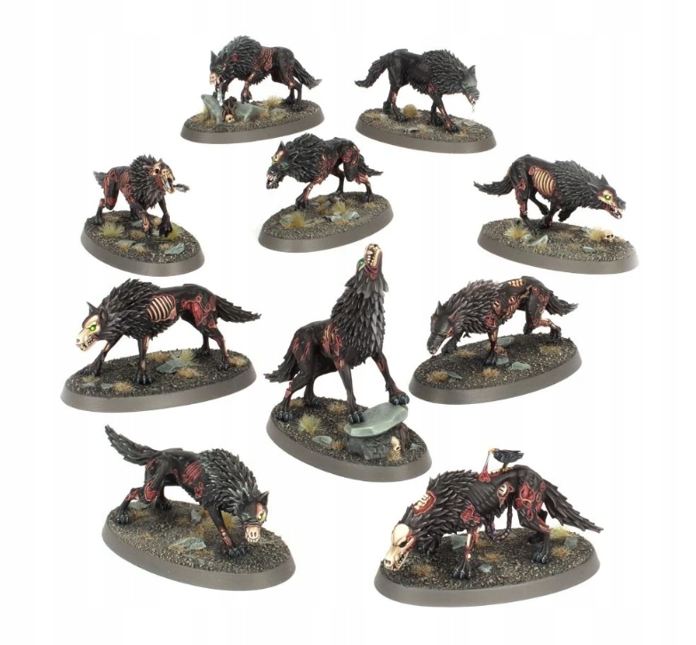 Soulblight Gravelords - Dire Wolves Nazwa Dire Wolves | Soulblight Gravelords