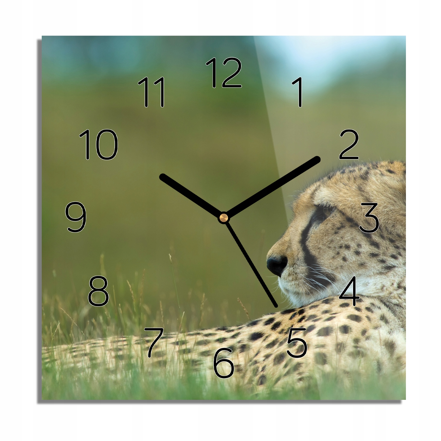 

Gepard zegar na szkle kwadrat 30x30 do jadalni