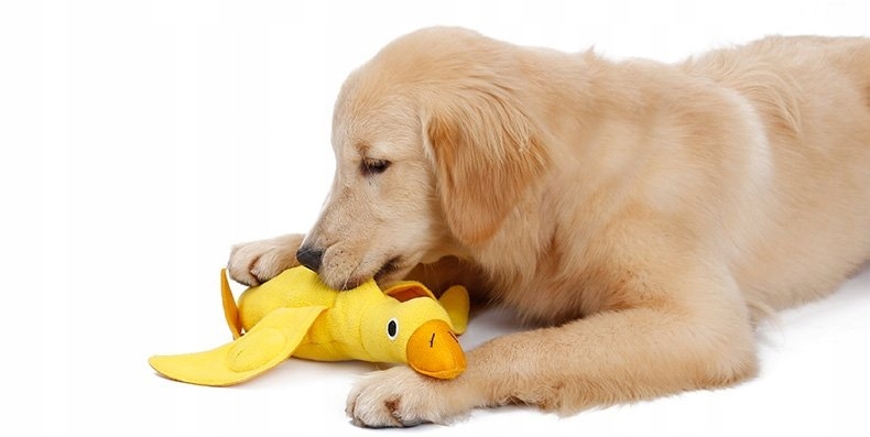 

Zabawka Węchowa Na Przysmaki Dla Psa Kaczka Mata