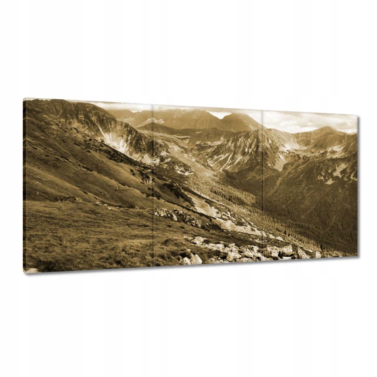 Obrazy 180x90 Tatry Poľské hory Pohľad