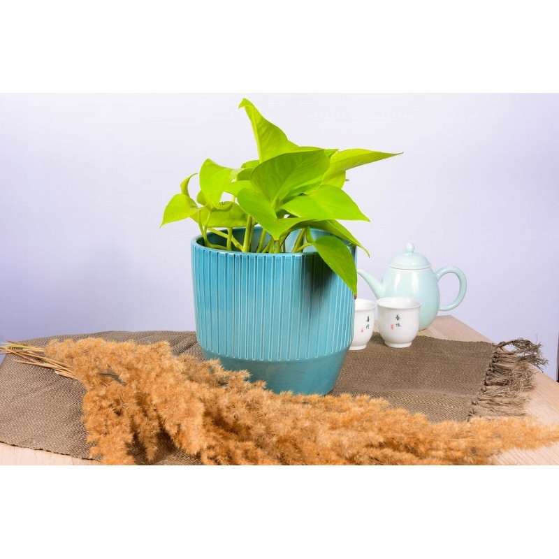 Osłonka Frezowana Lazur Rodzaj osłonka