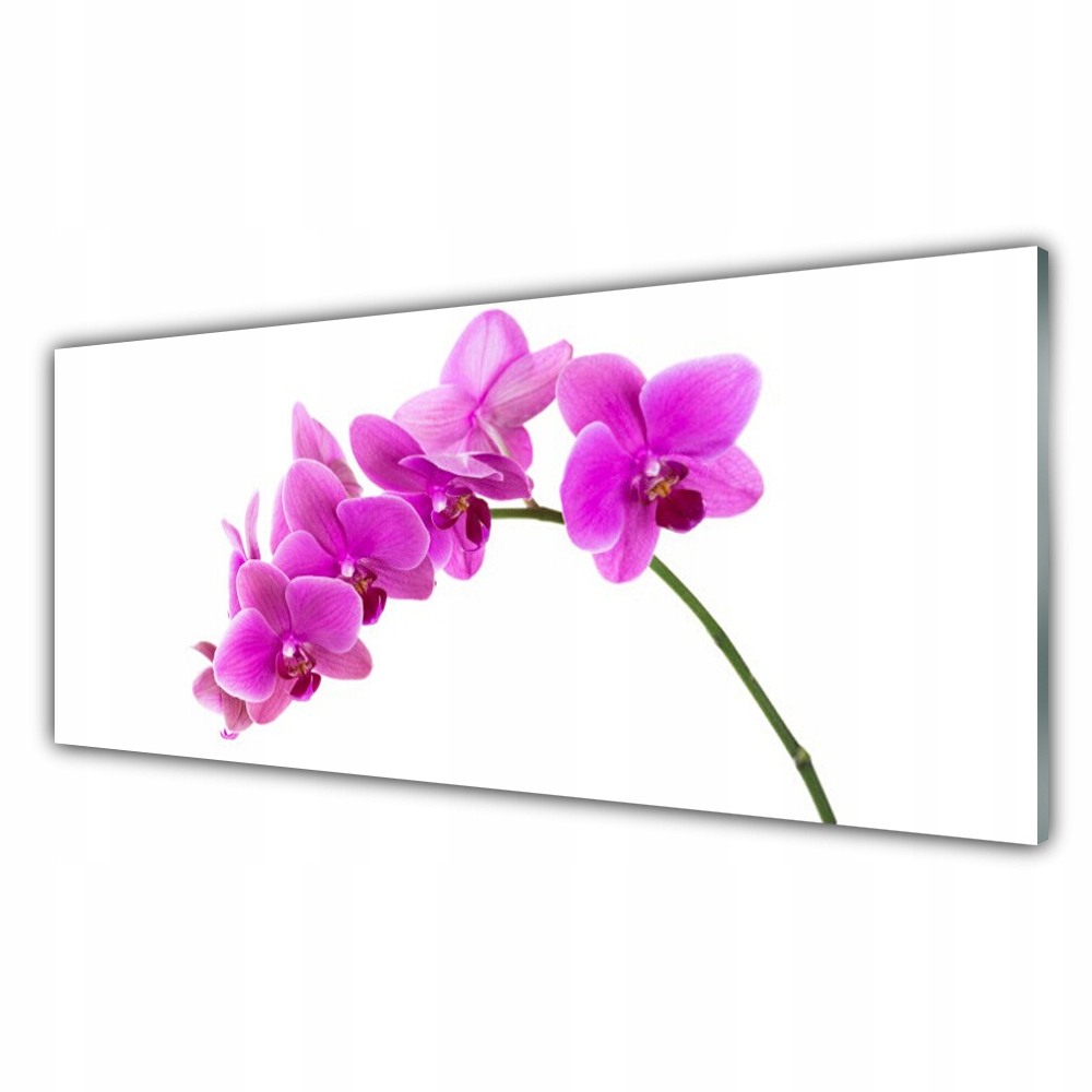 

Obraz akryl ścienny 125x50 Storczyk Kwiat Orchidea