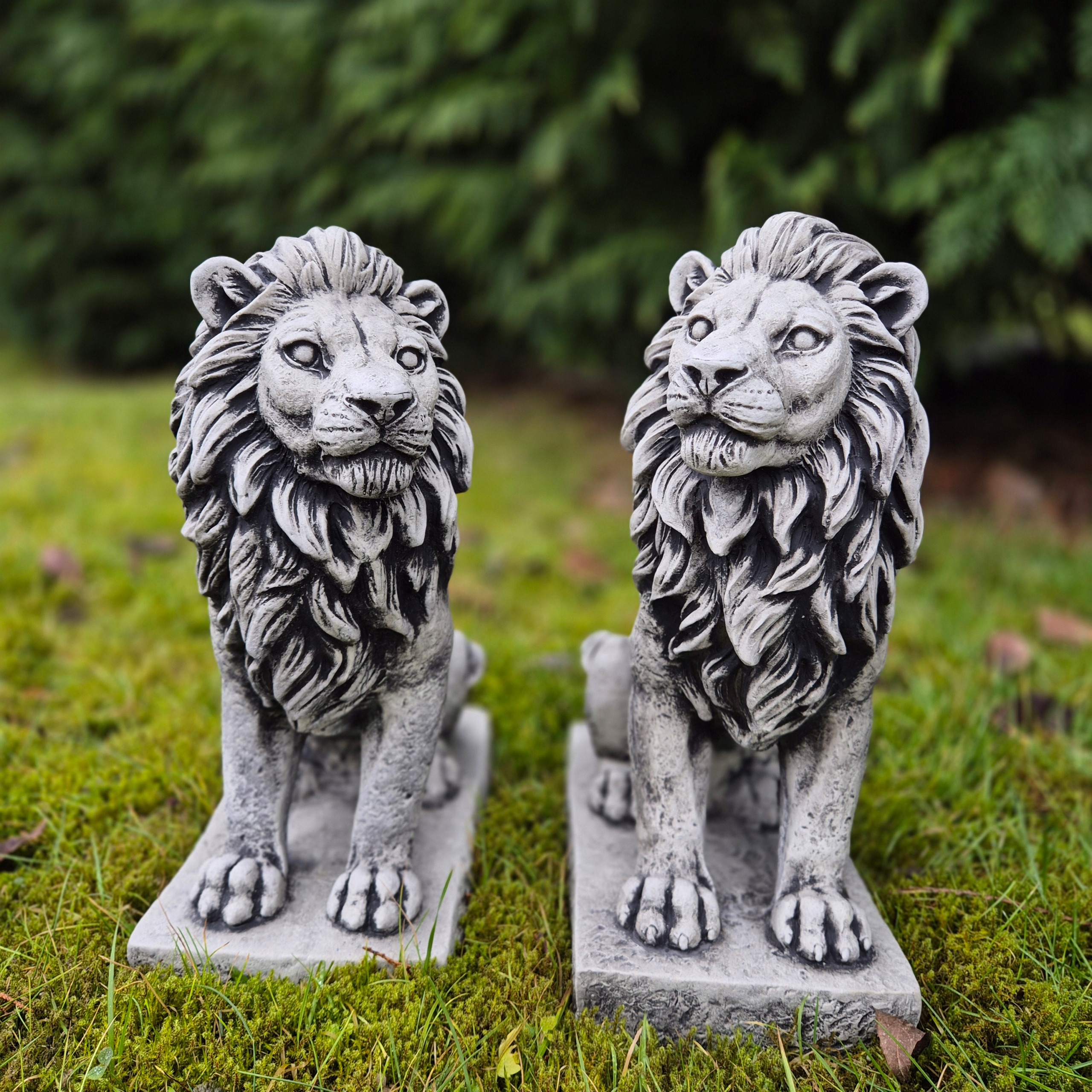 Lwy Set Betónová záhradná socha Pár levov Lev Levý A Pravý 22 kg 36 cm