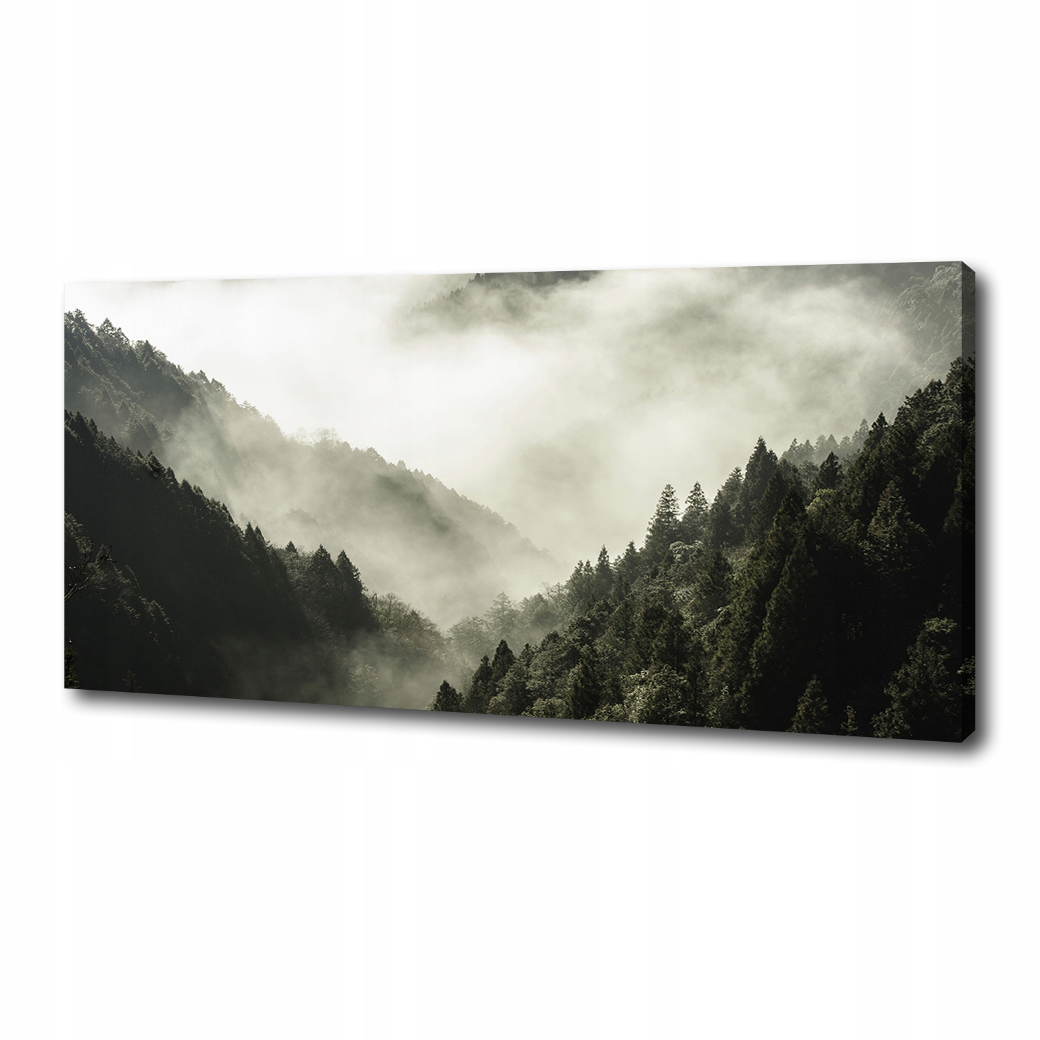 

Foto obraz na płótnie Mgła nad lasem 125x50 cm