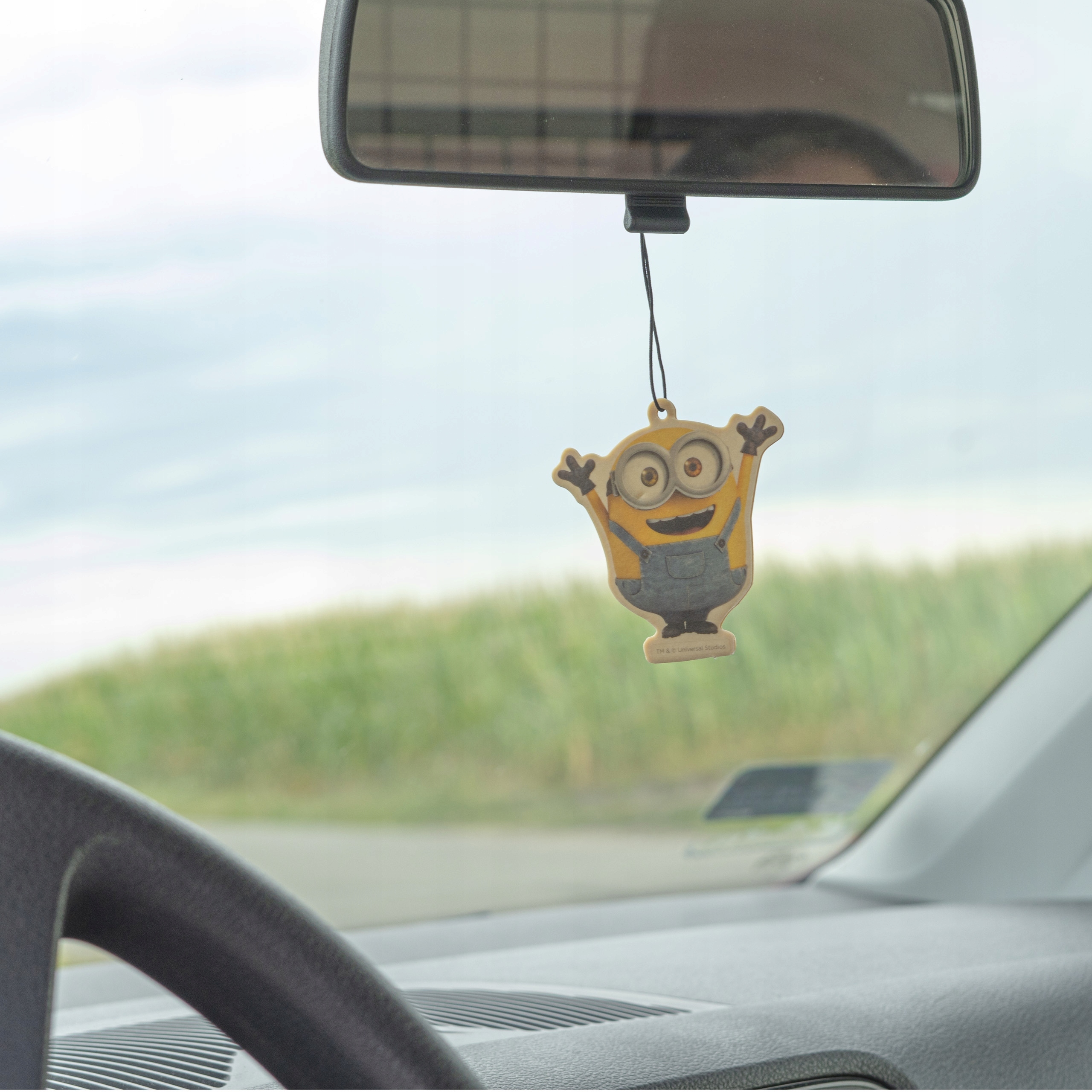 MINIONKI - ZAPACH SAMOCHODOWY - OWOCE LEŚNE Producent Einparts