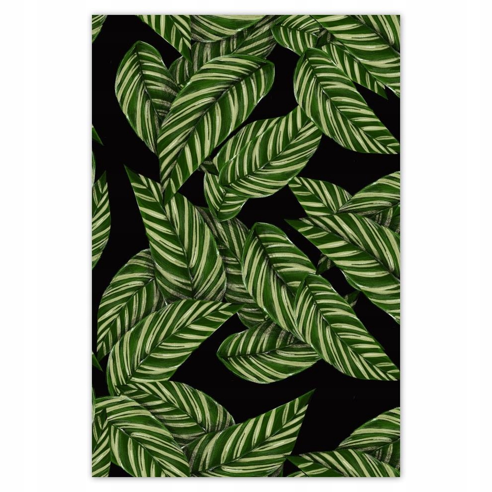 

Plakat 62x93 Zielone listki Tropiki