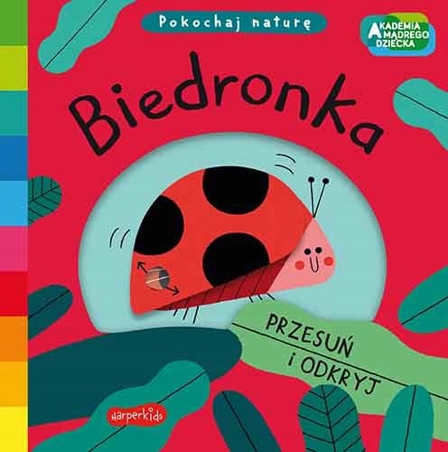 

Akademia Mądrego Dziecka Biedronka