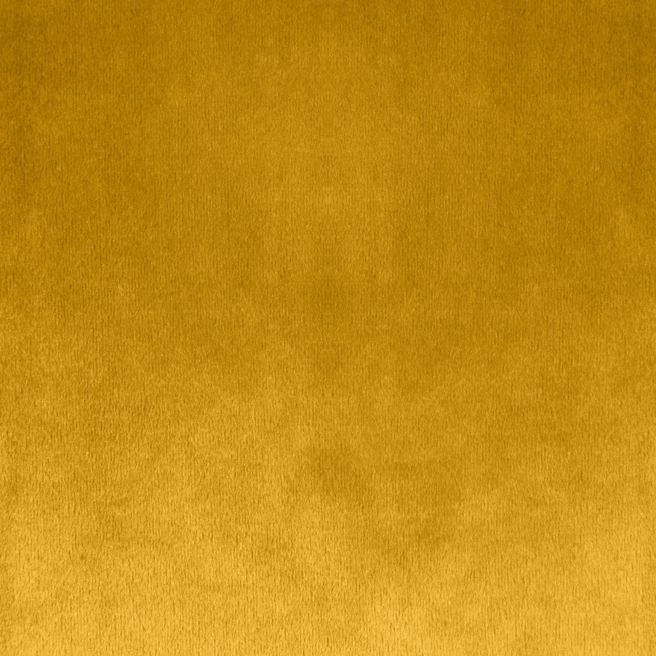 Musztardowa zasłona modna VELVET taśma Materiał welur