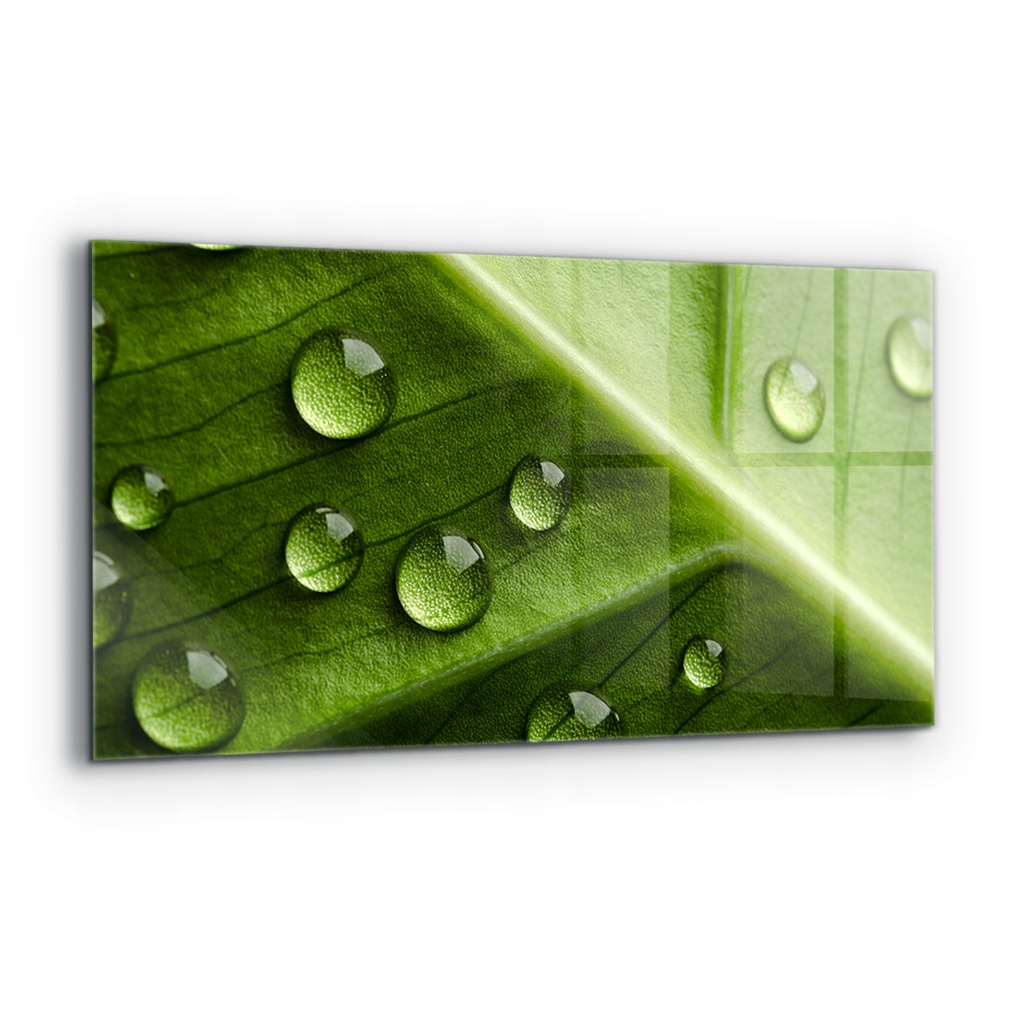 Nástenný panel List s kvapkami rannej ruže 120x60