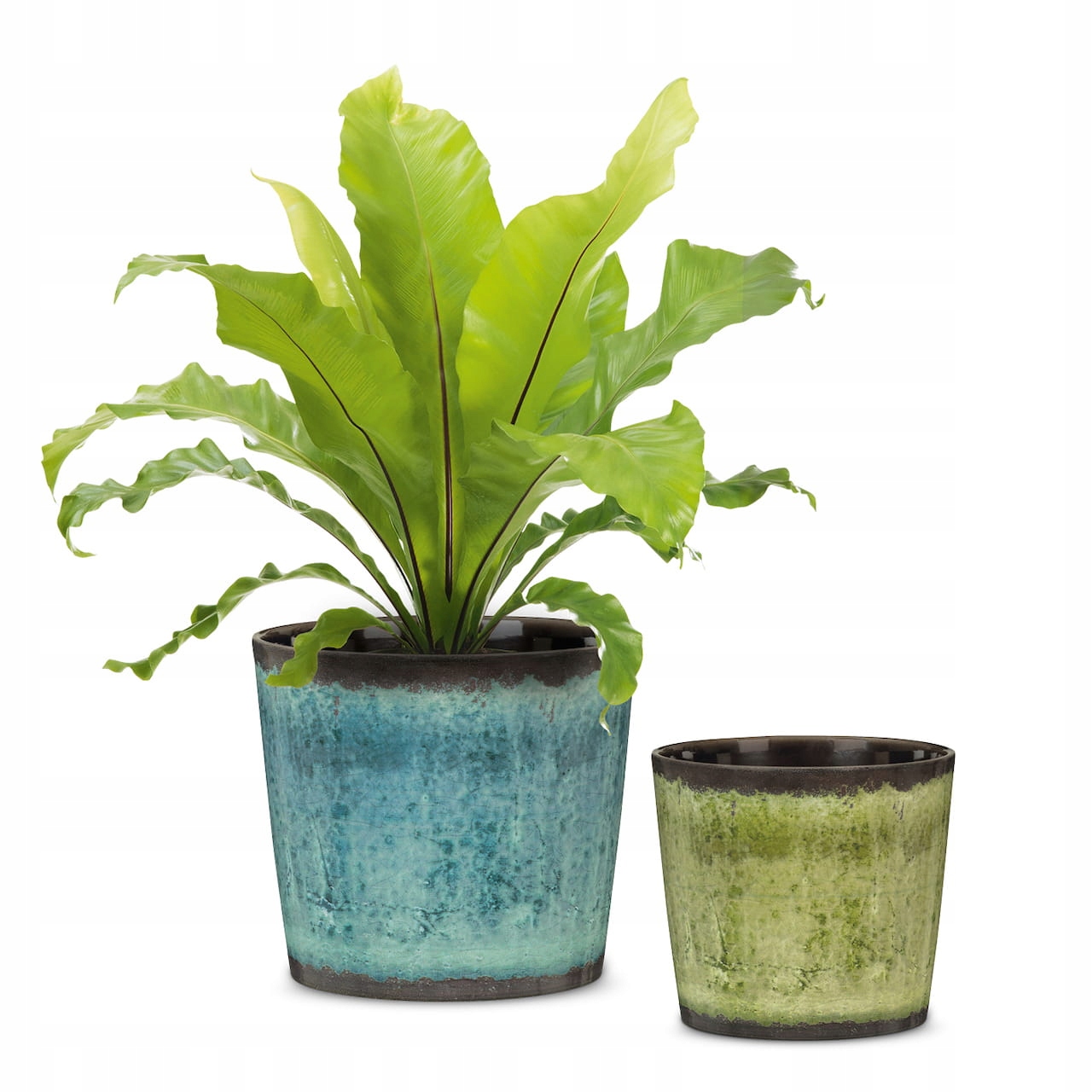 Fioletowa osłonka na doniczkę Scheurich Kształt okrągły