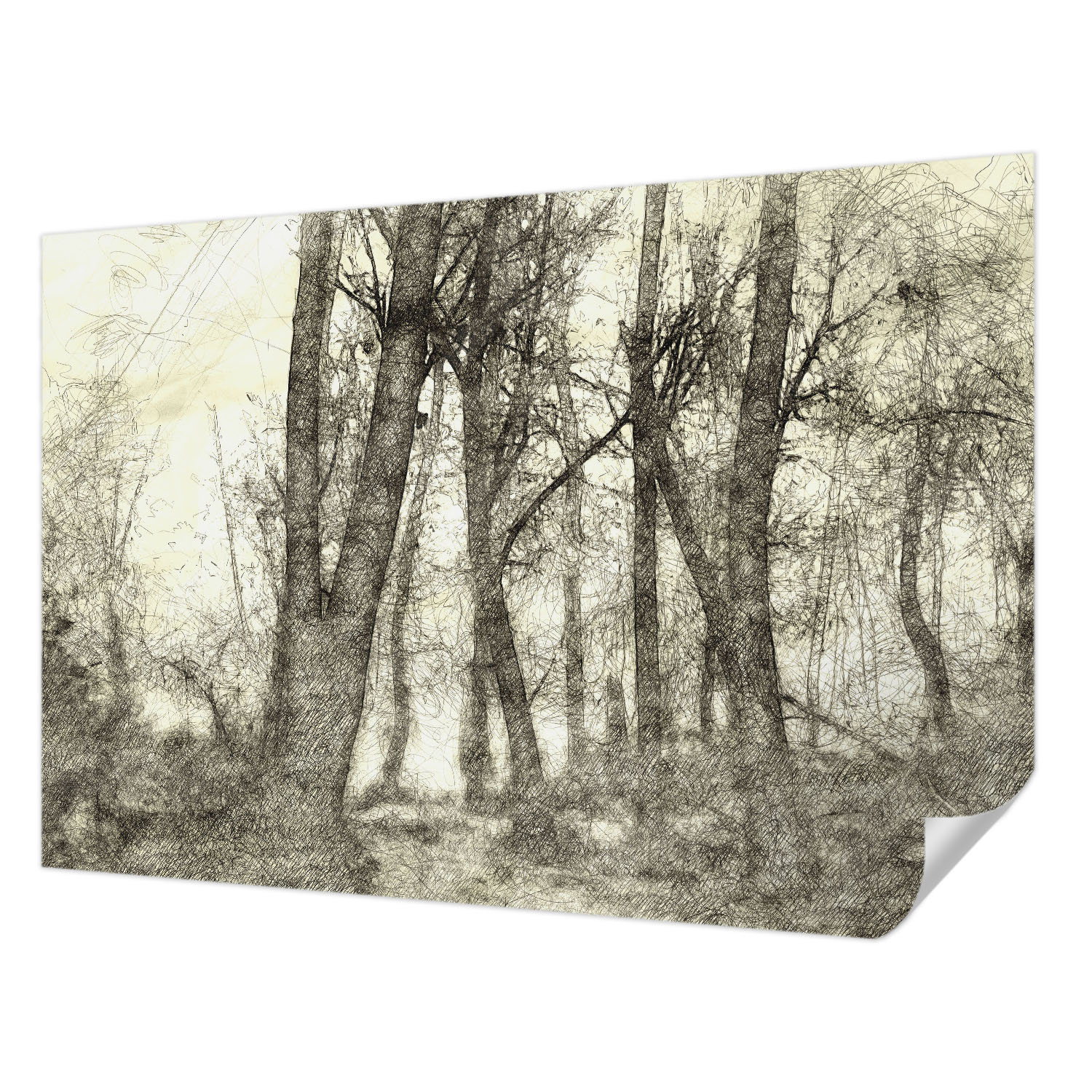 Samolepicí fototapeta Trvalá dekorace domu Lesní Melancholie 152 x 104 cm
