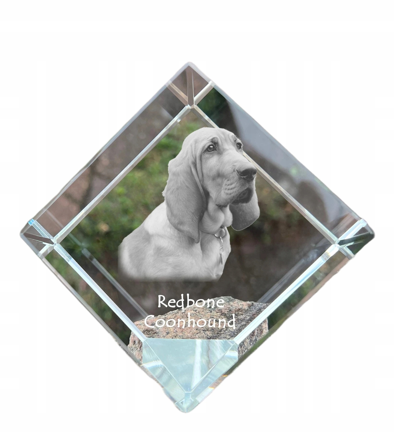 Redbone Coonhound krištáľová kocka s fotografiou psa, ozdoba na stôl