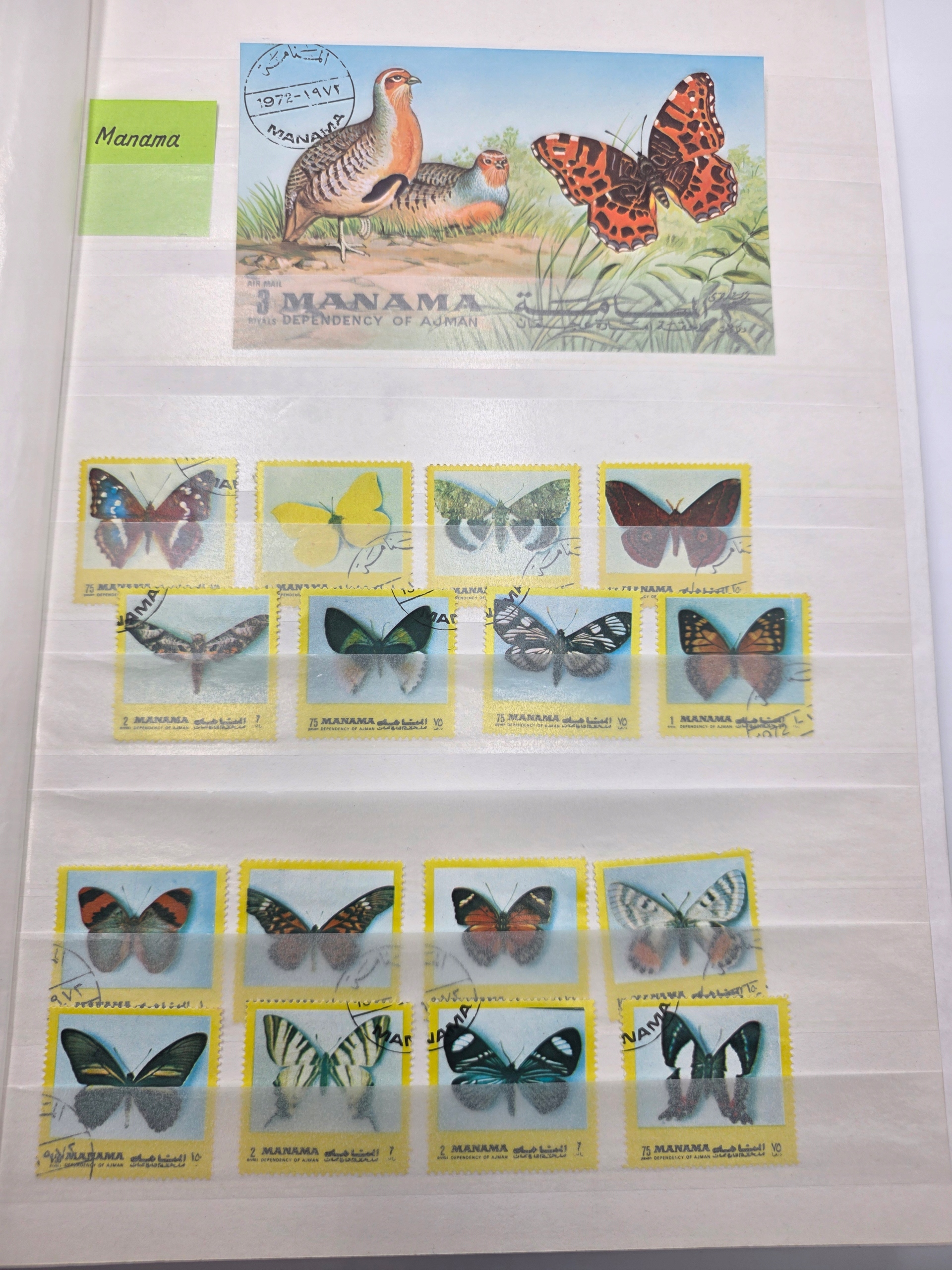 ZESTAW ZNACZKÓW Motyle ŚWIAT zestaw na karcie