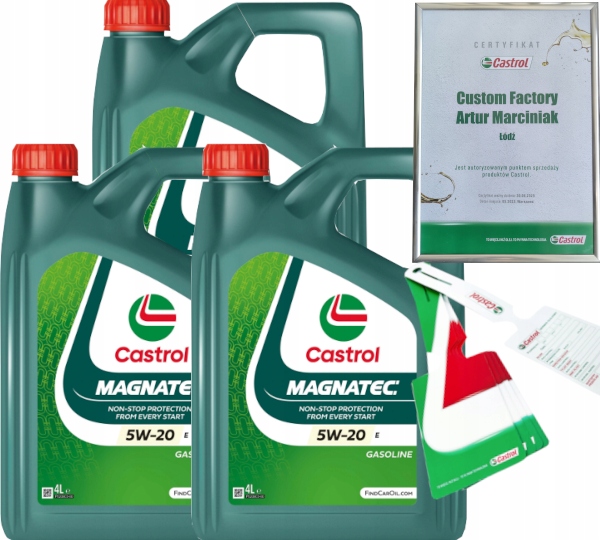 CASTROL MAGNATEC 5W20 E 12L FORD WSS-M2C948-B + ZAWIESZKA