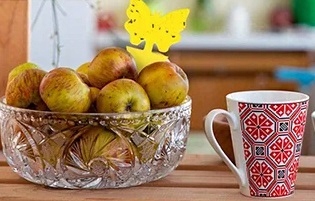 ŻÓŁTE LEPY DO DONICZEK ZIEMIÓRKI 12 SZTUK Wyrób medyczny nie