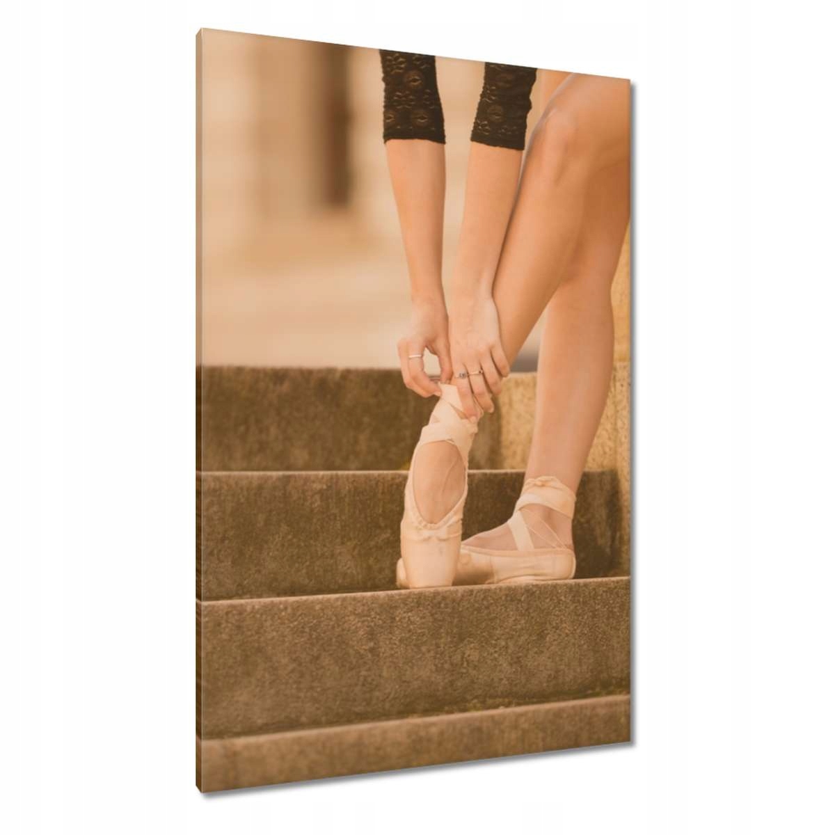 Obrazy 80x120 Baletka