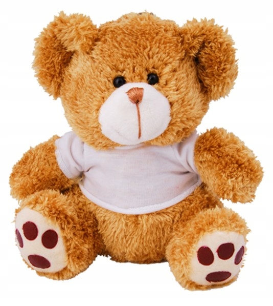 MASKOTKA PRZYTULANKA MIŚ