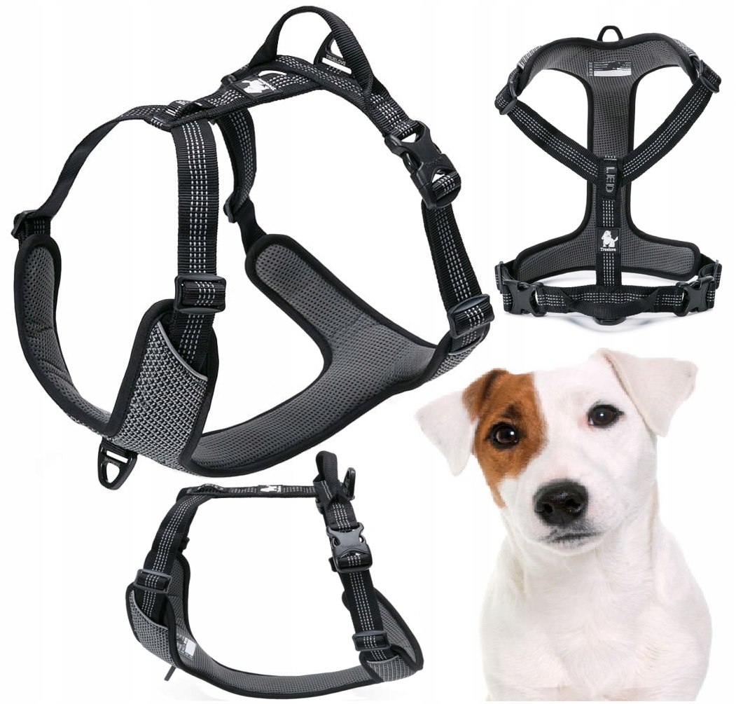 Levně Reflexní Obojky Pro Psa Easy Walk, Silné Truelove Lumen, Černé