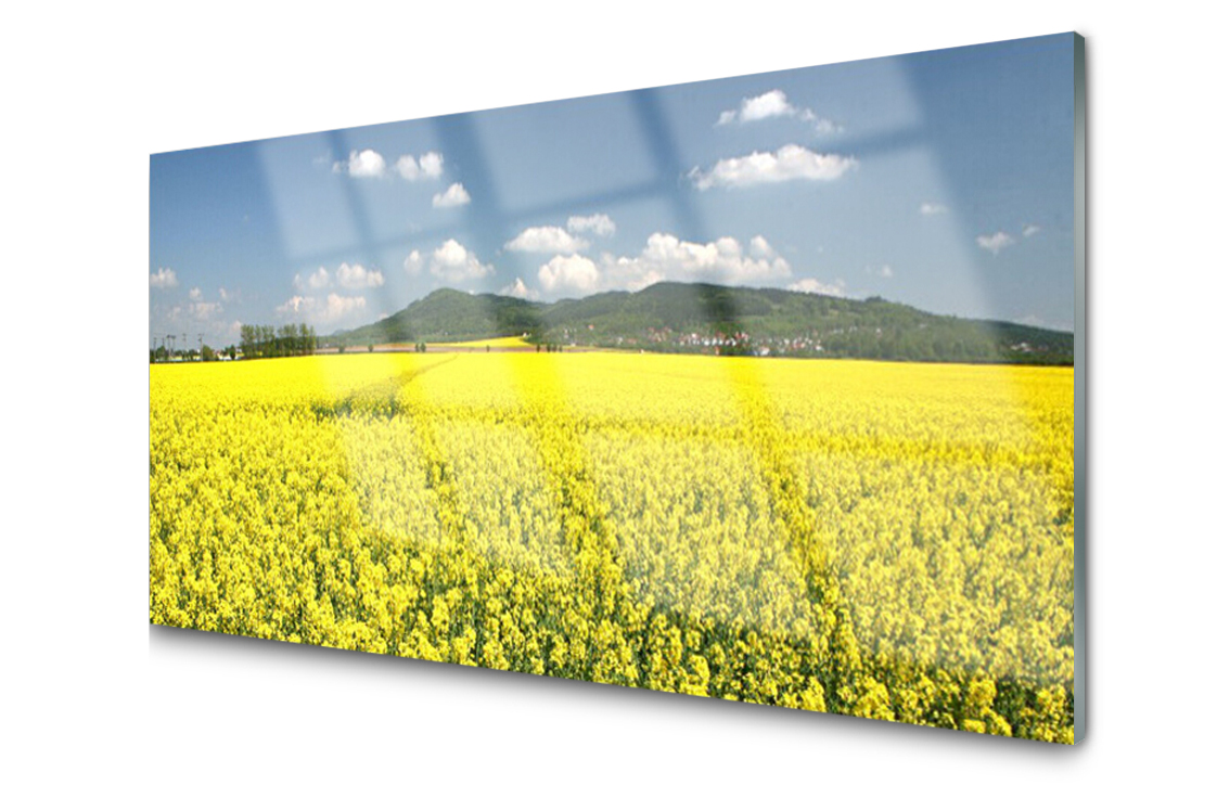 

Panel szklany Płytka Pole Łąka Rzepak 100x50