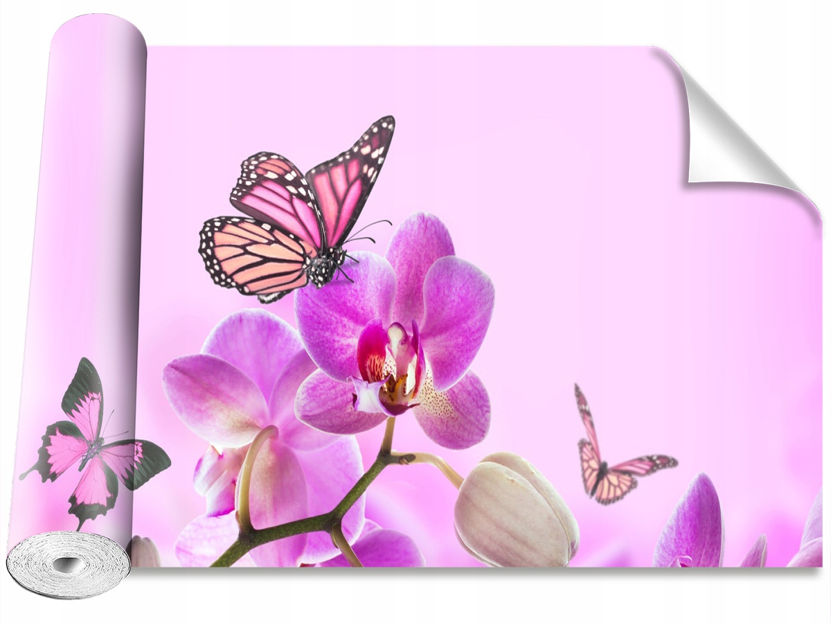 

Tapeta Samoprzylepna Orchidea Motyl 416x254