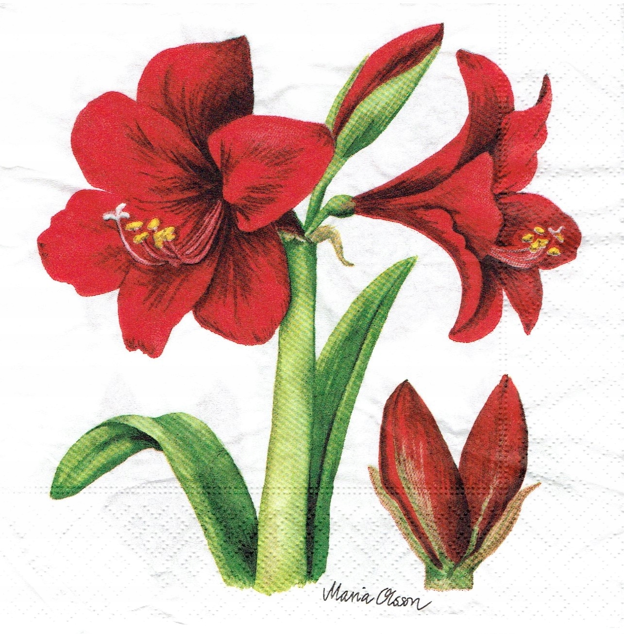 Serwetka decoupage 104Z Kwiaty amarylis 1szt