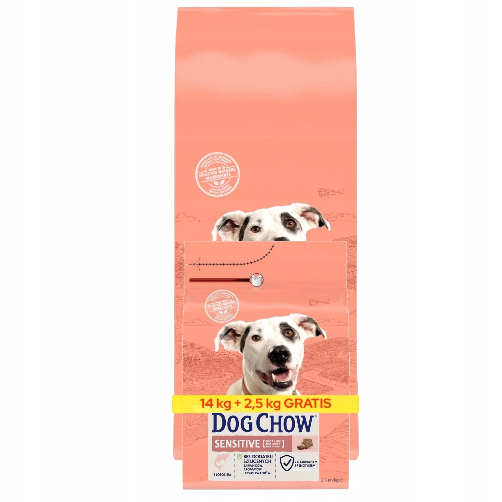 Karma dla psa Purina Dog Chow Sensitive Łosoś 14 2,5kg