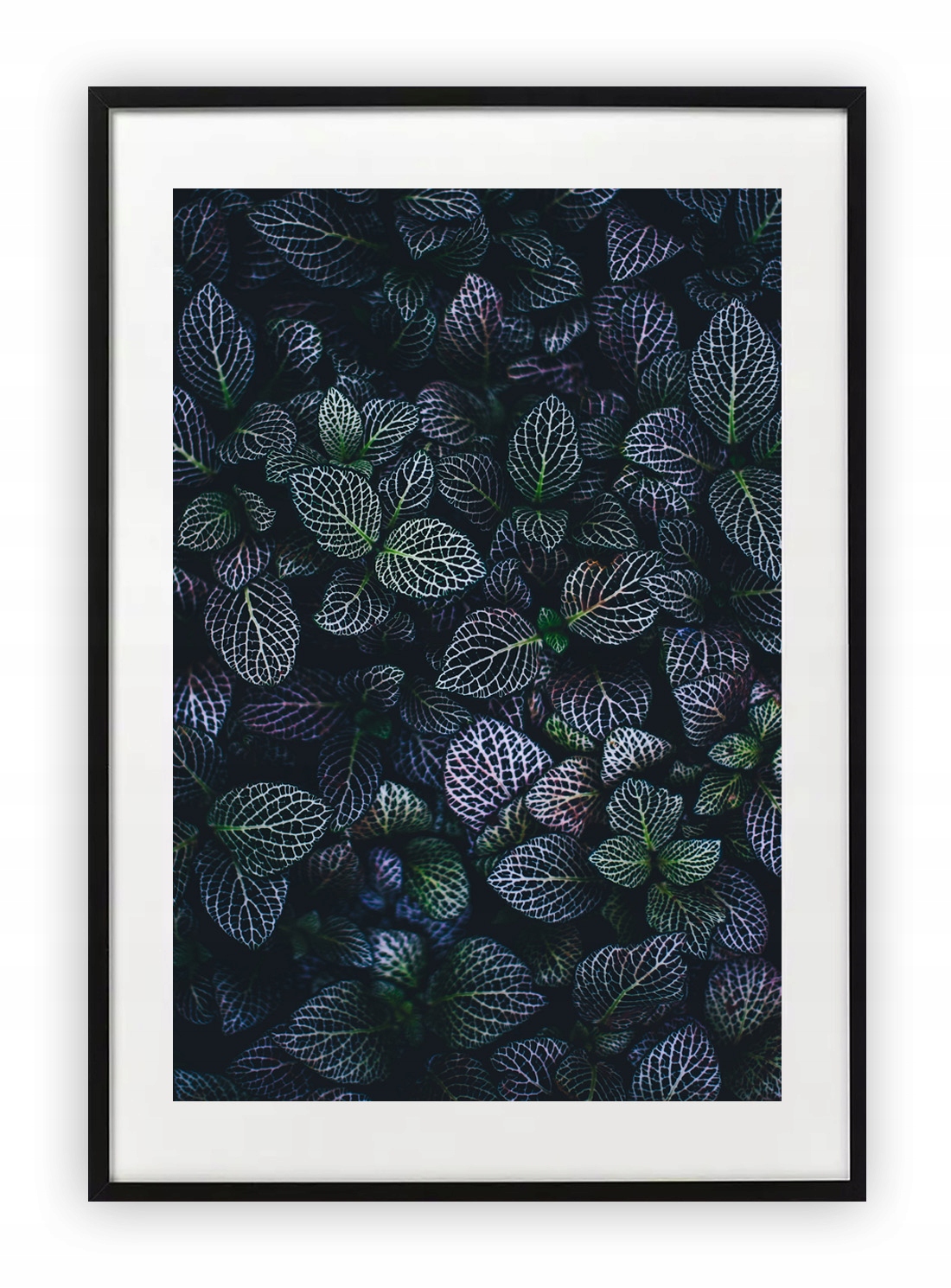 

Plakat 13x18 cm Liście listki zielone rośliny Wzor