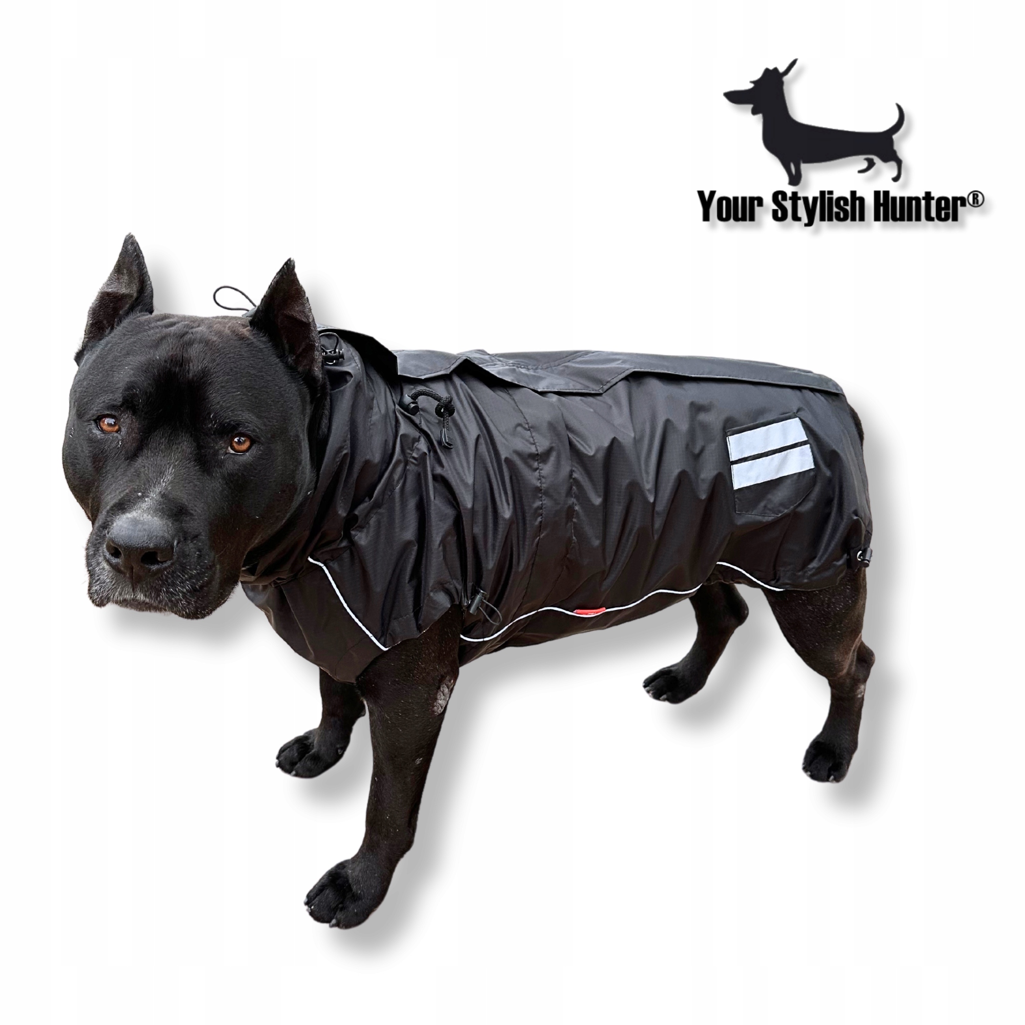 Levně Pláštěnka obleček pro psa od španěla po cane corso M