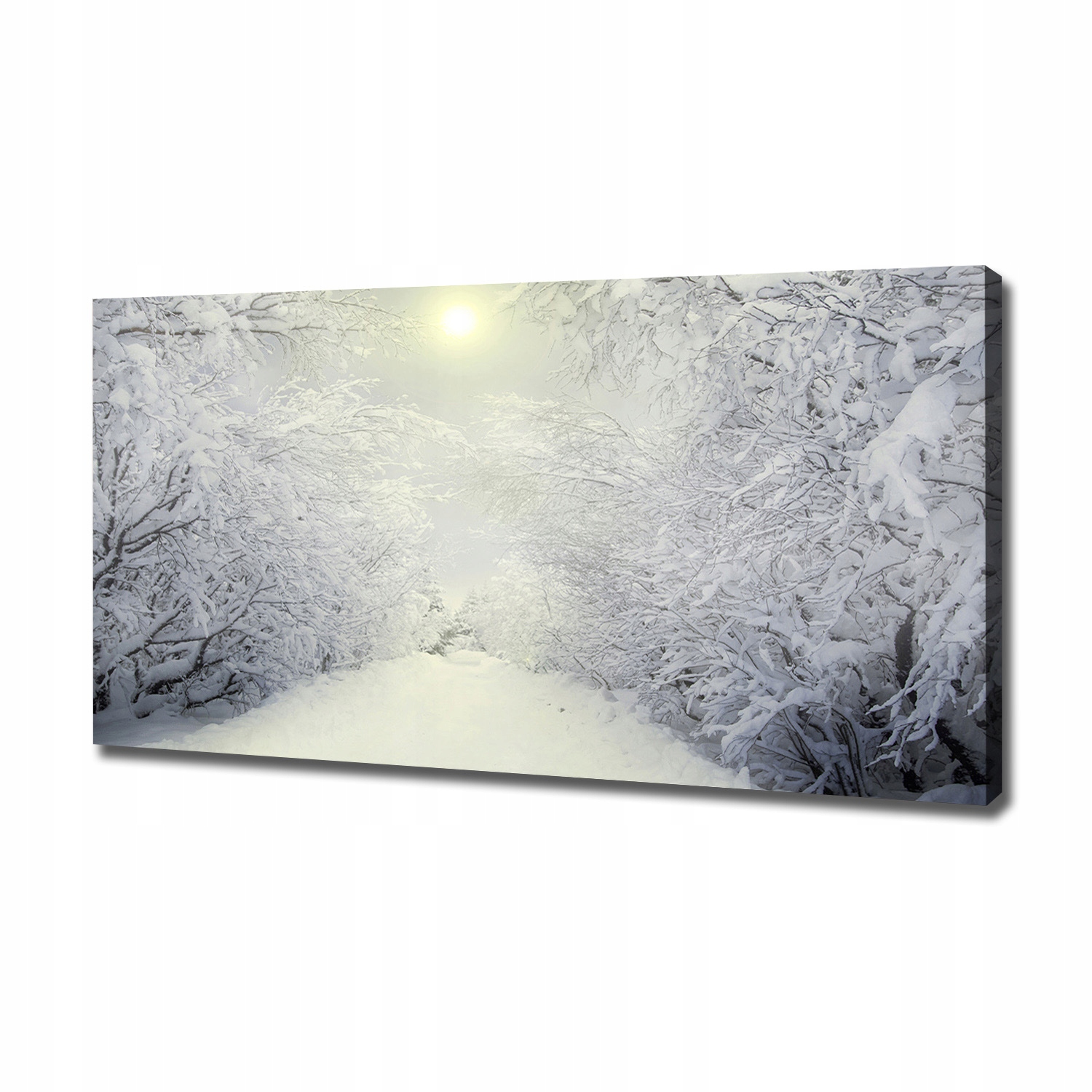 

Foto obraz na płótnie Piękny las zimą 120x60 cm