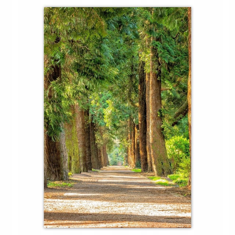 

Plakaty 40x60 Pejzaż Krajobraz