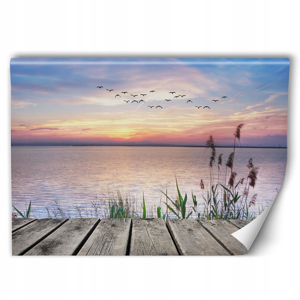 

Fototapeta Słońce Salon Klej Gratis 400x266