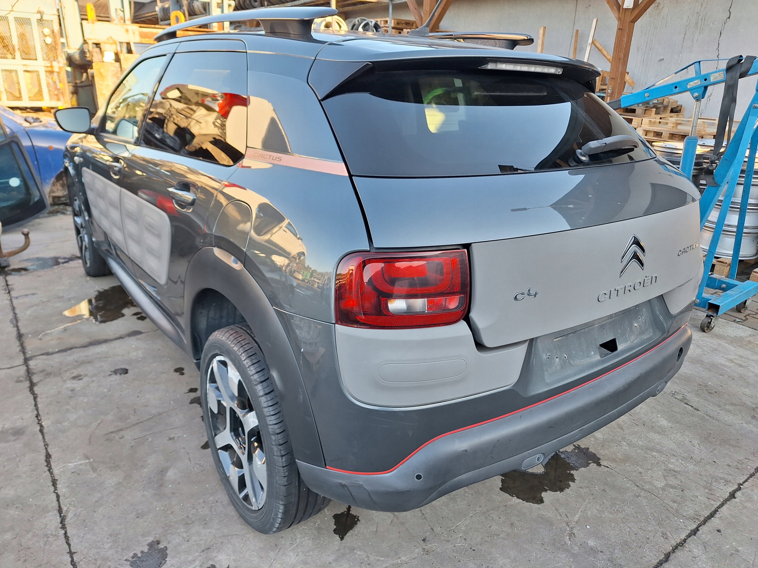 CITROEN C4 CACTUS DACH FENSTER DACH PANORAMA