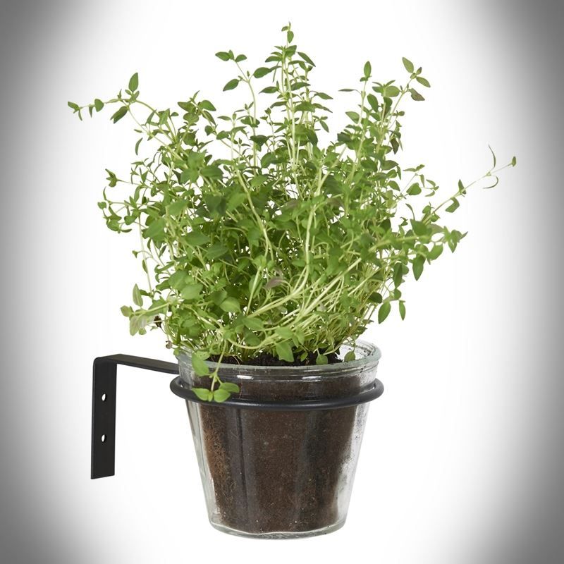 Uchwyt doniczkowy stalowy ścienny 9 cm CZARNY Materiał metal