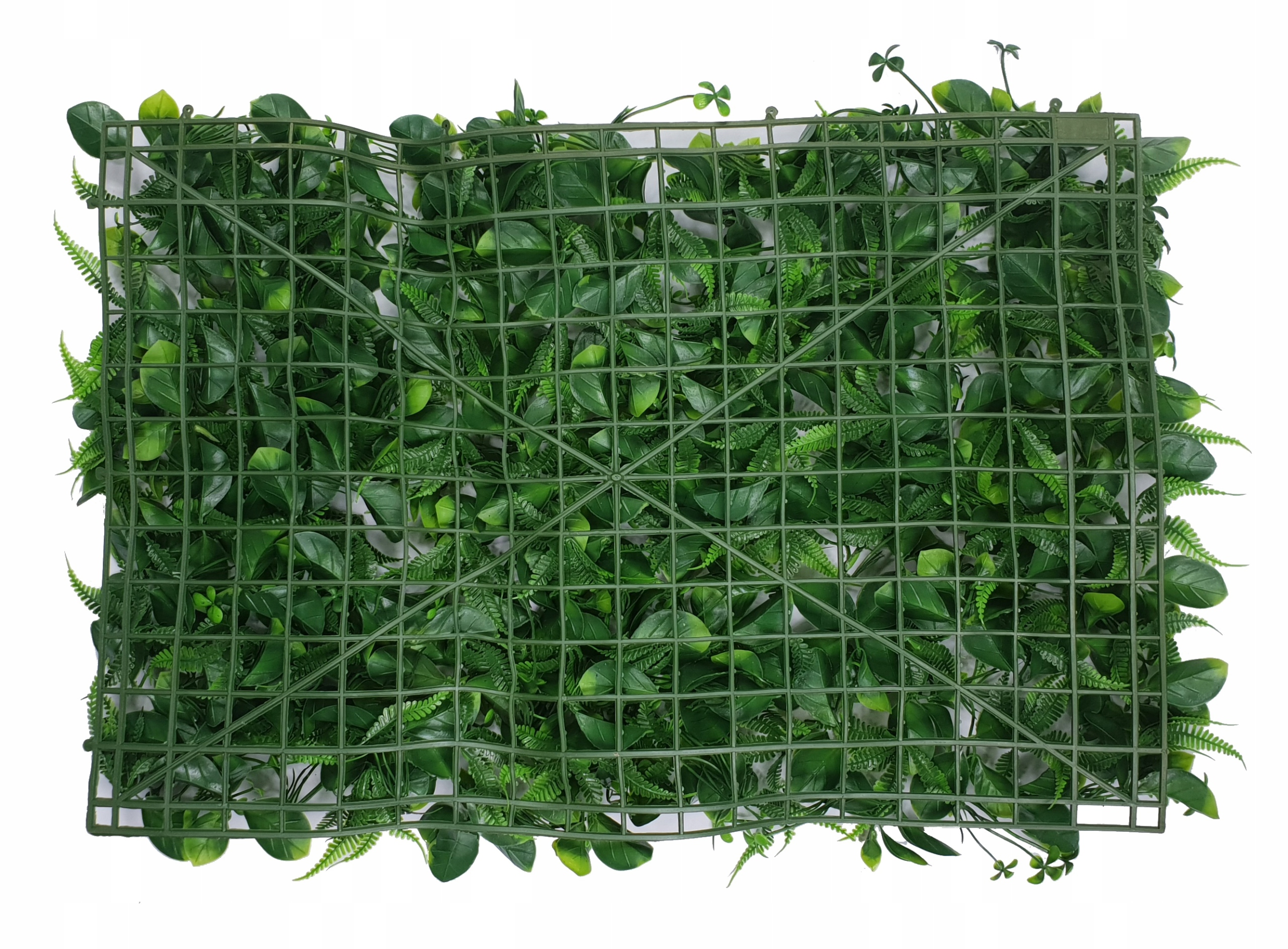 MATA ZIELONE ROŚLINY 40X60 cm ŻYWOPŁOT liście Producent Madex