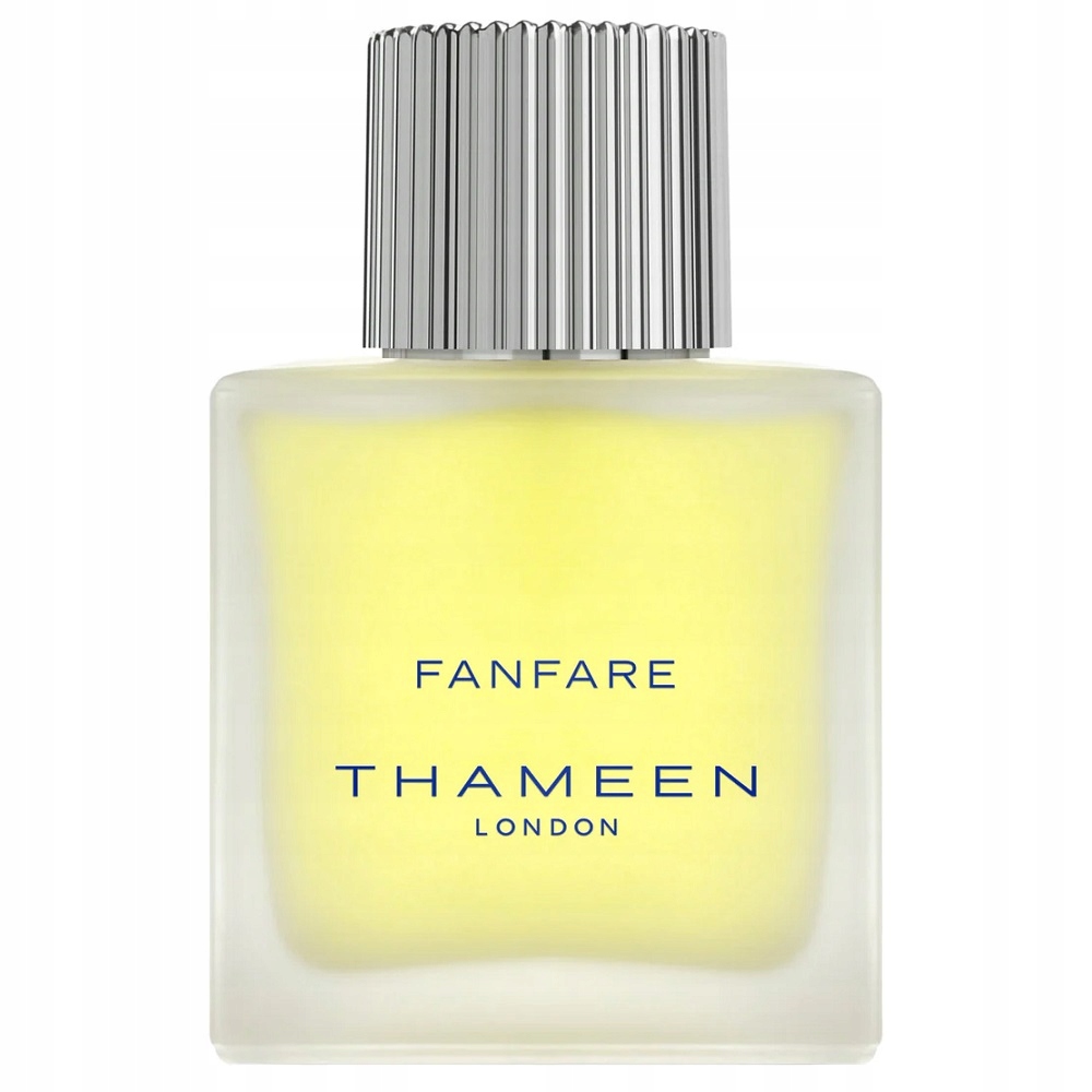 Thameen Fanfare Edc unisexová kolínská voda pro muže 100 ml