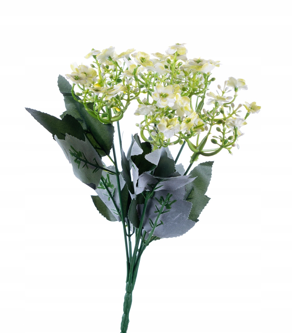 

Kalanchoe zielone bukiet drobnych kwiatków