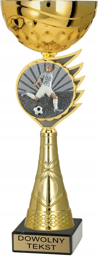 Puchar Piłka Nożna wysokość 31,5 cm statuetka Piłka Nożna