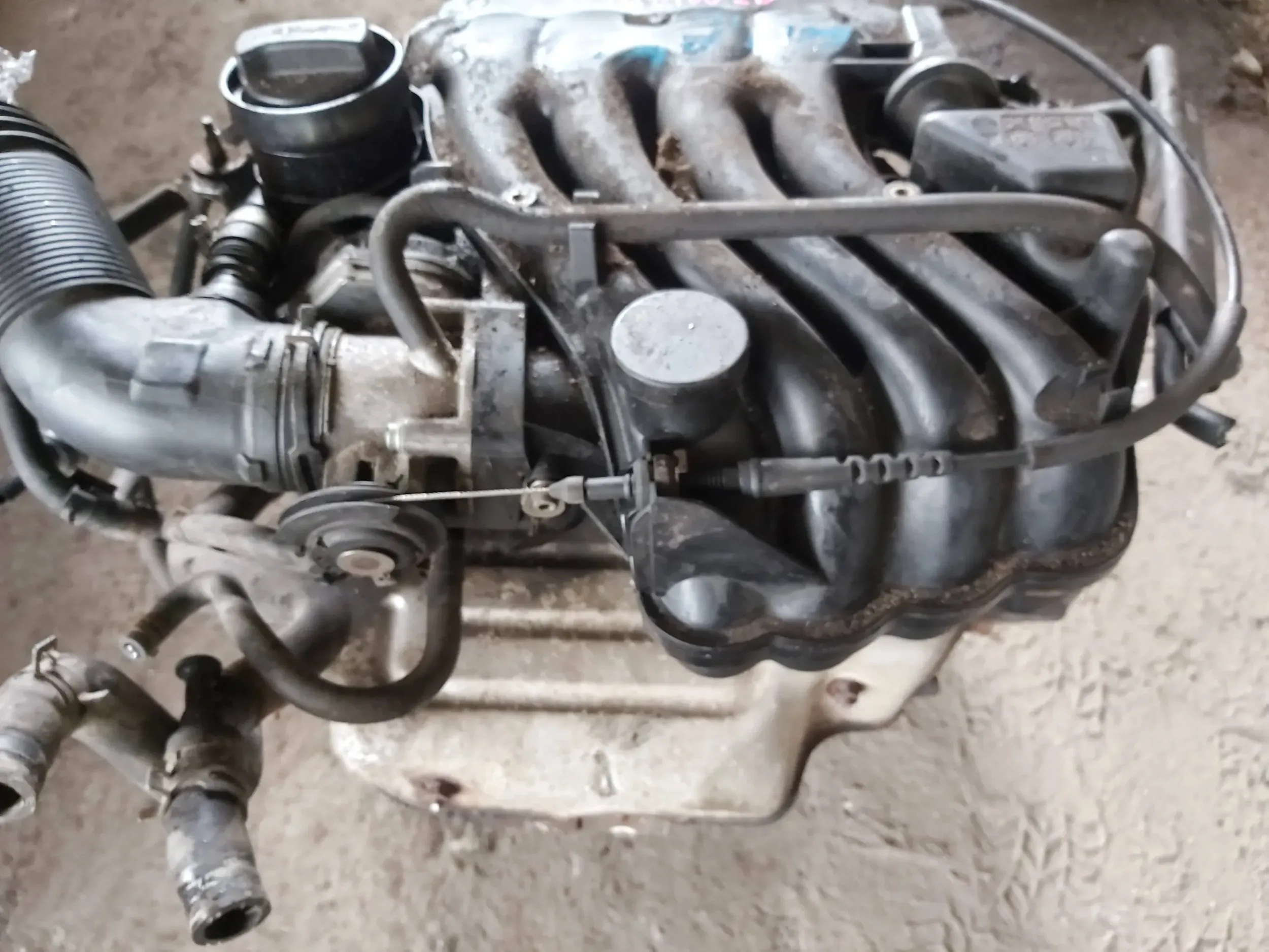 Двигатель vw SKODA seat LEON Audi A3 1.6 8V SR akl