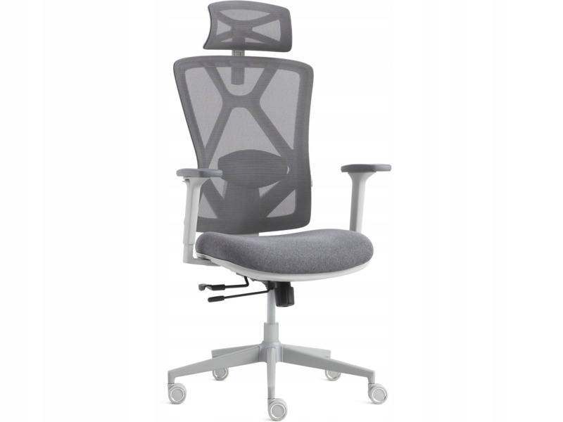 Fotel Gamvis ErgoMaster XL Szary