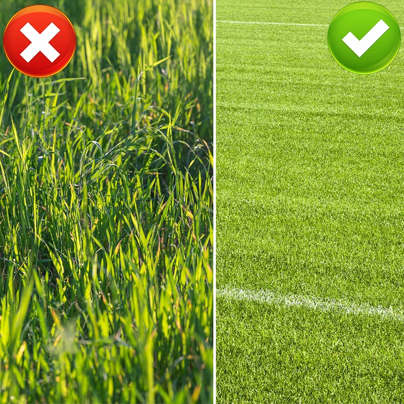 ZESTAW OSTRZY DO PODKASZARKI (30 SZTUK) WYMIENNE OSTRZA RED TECHNIC Moc silnika 0 W