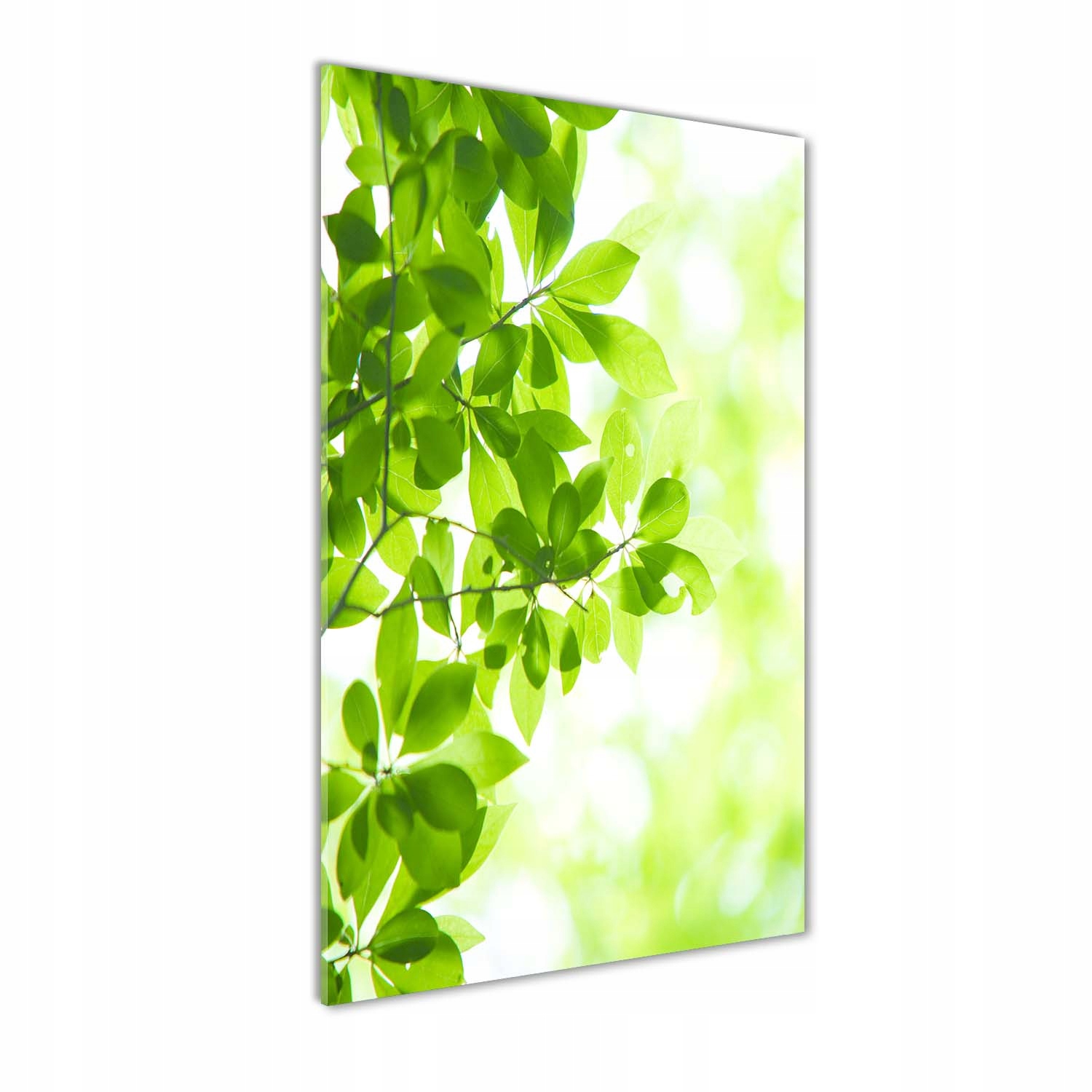 

Foto obraz akryl do salonu Zielone liście 60x120cm