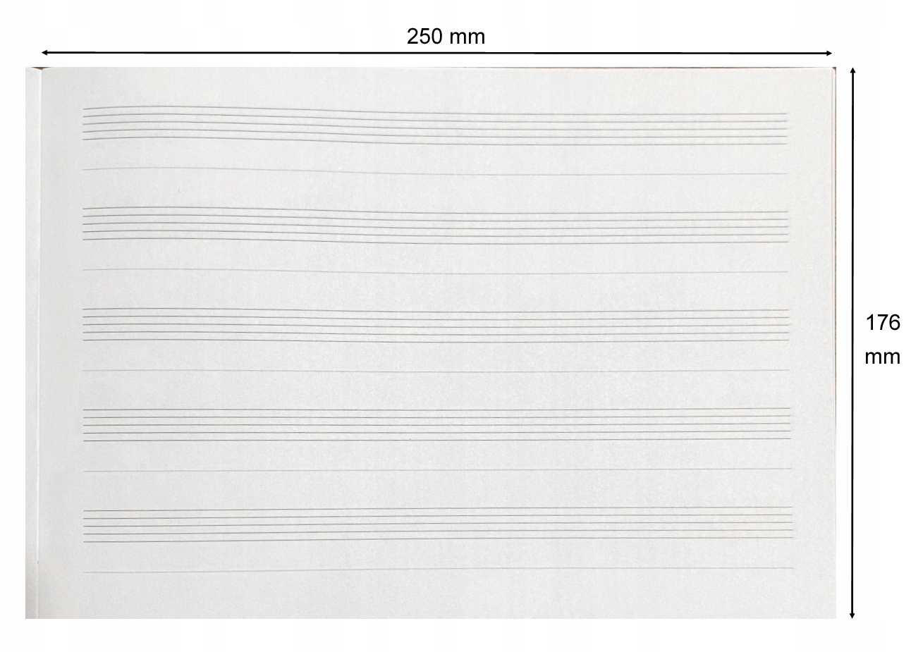 ZESZYT DO MUZYKI NUT, SZEROKA PIĘCIOLINIA, B5, 16 KARTEK Marka Interdruk